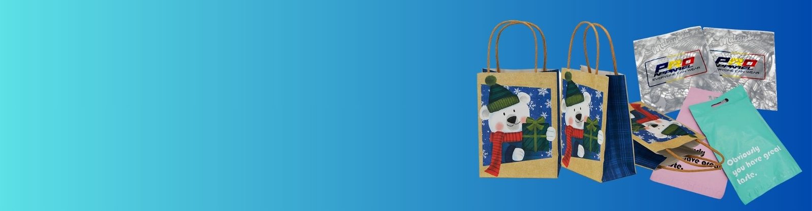 bags banner