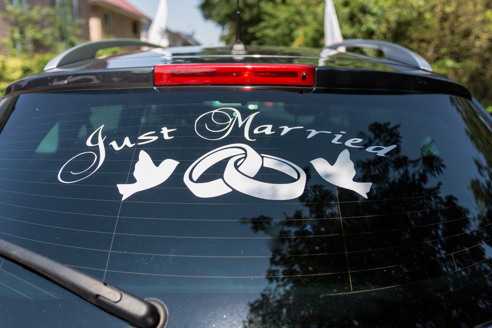 vinyl lettering for windows