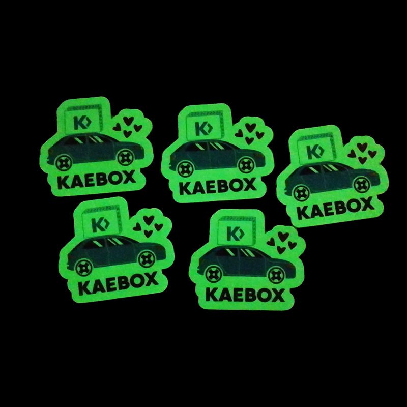 Glow in the Dark Decals for Cars